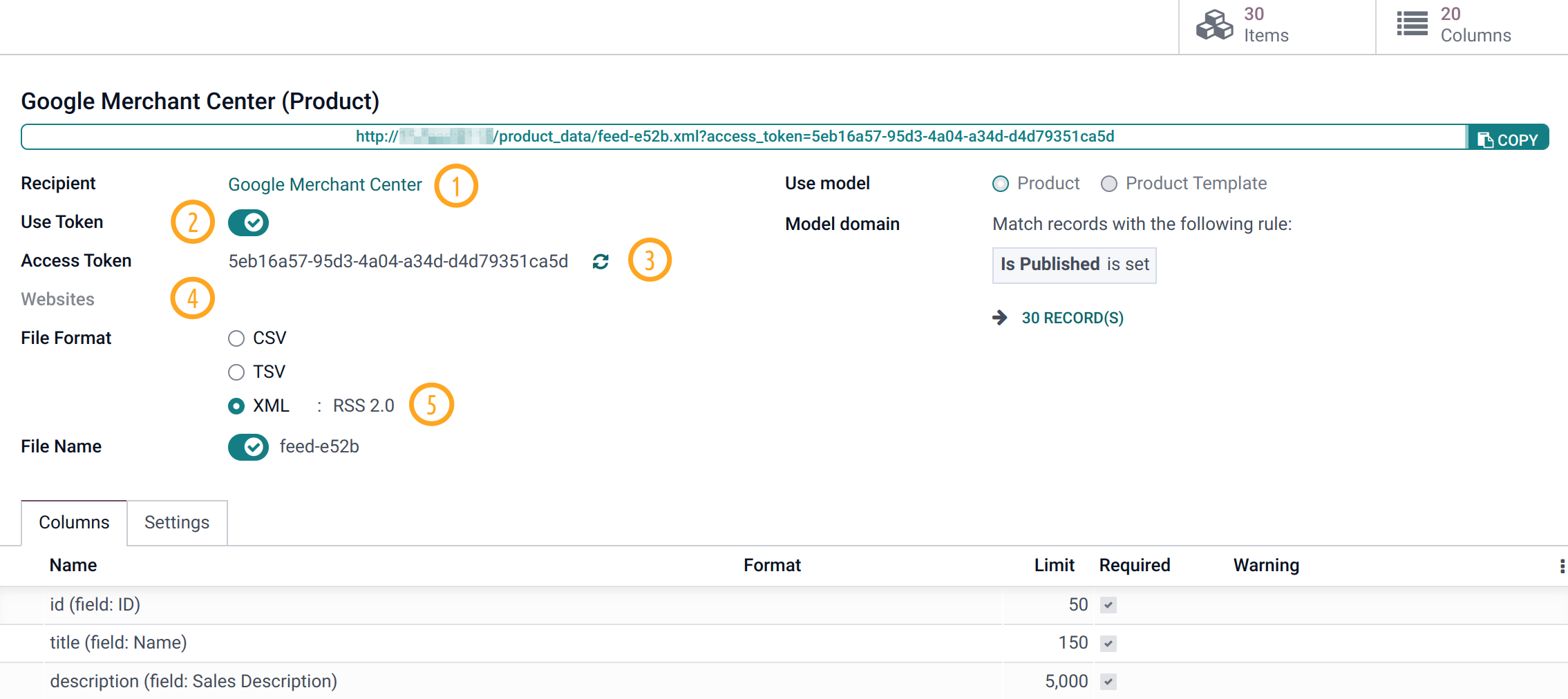 Odoo 16.0 Google Merchant Center Feeds