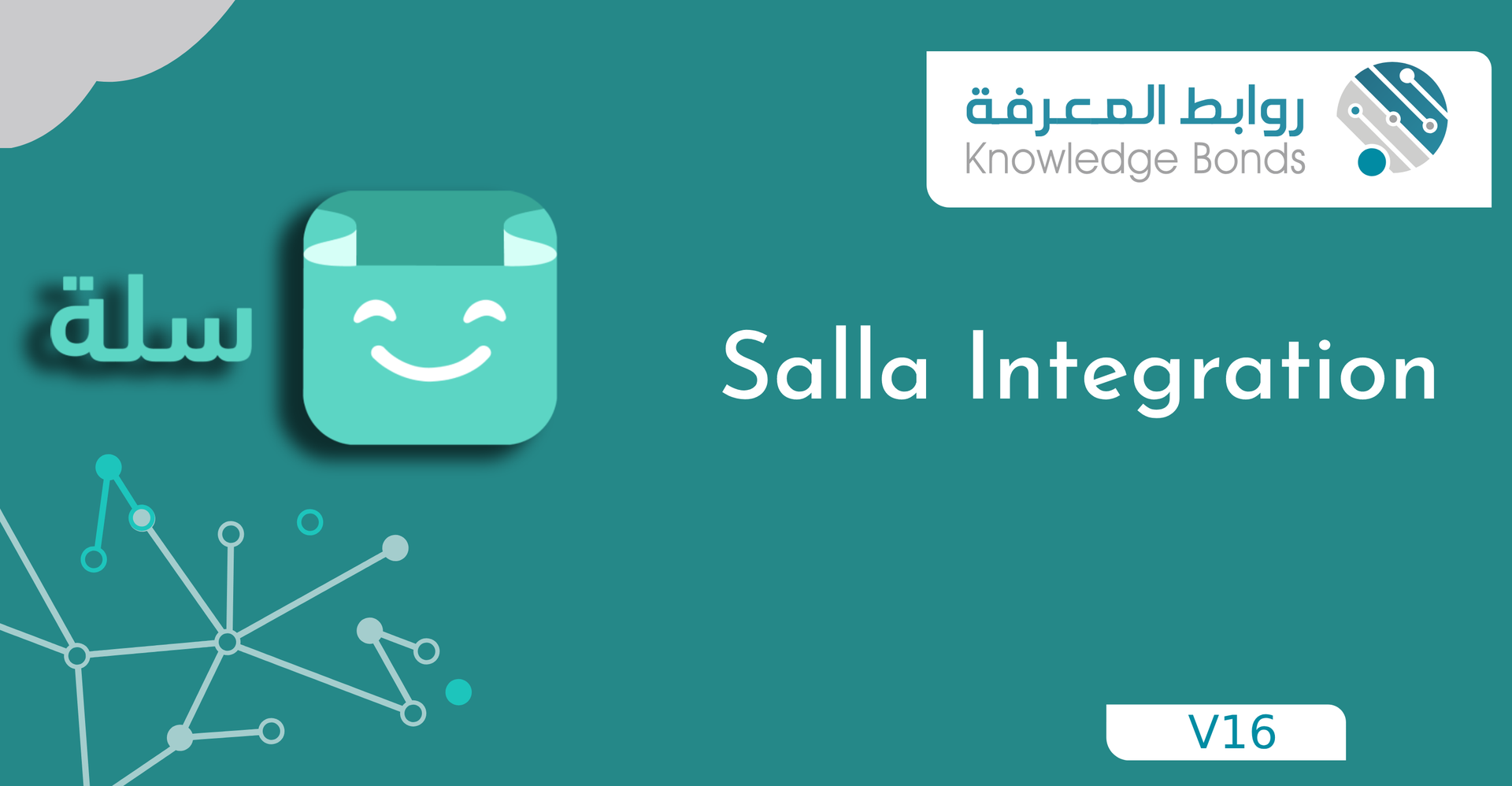 Odoo Salla Integration
