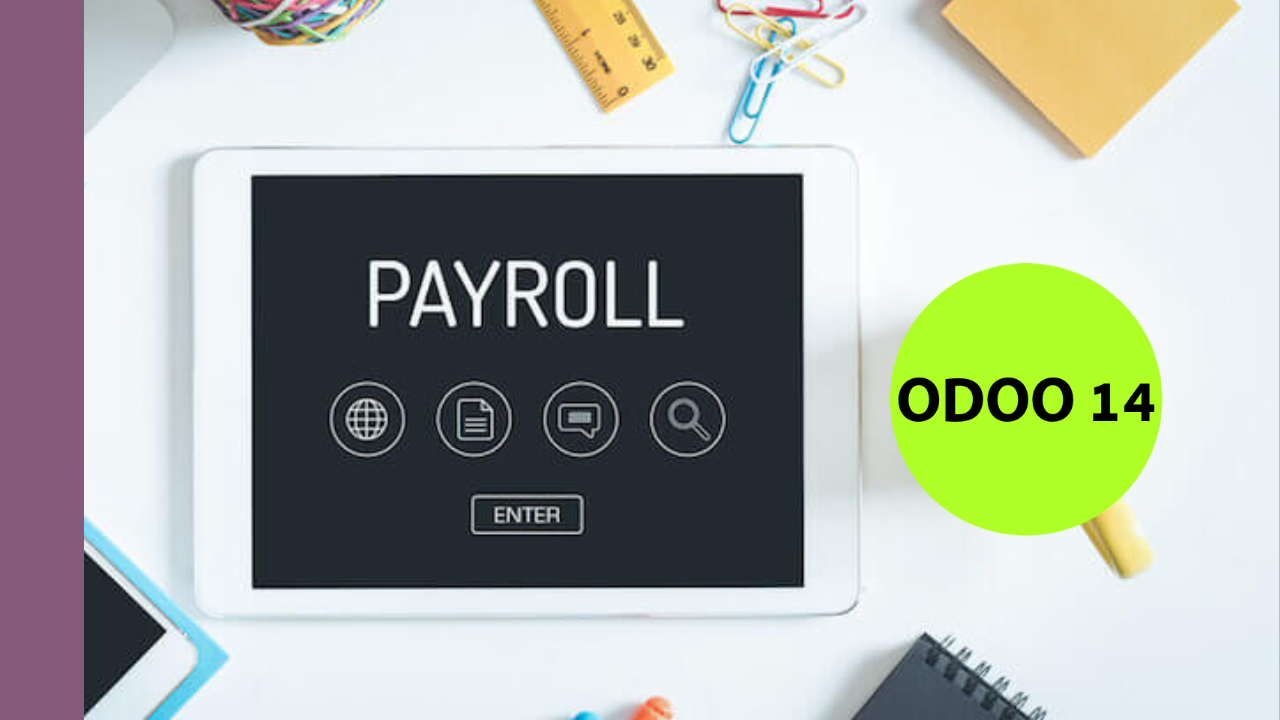 Odoo 16 HR Payroll Accounting
