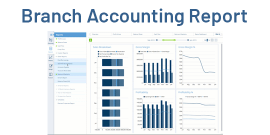 Financial Reports For Branch Enterprise Edition Odoo