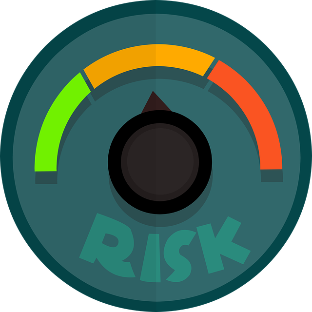 Risk Management for Project and Tasks