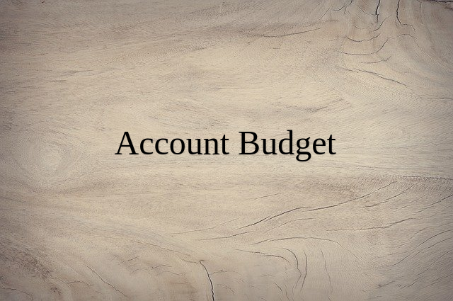 Accounting Analytic/Project Budget Management