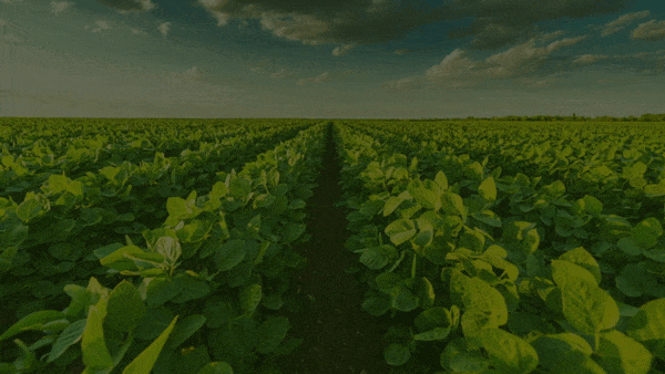 Agriculture Management | Agriculture ERP | Agriculture Integration | Farming Management