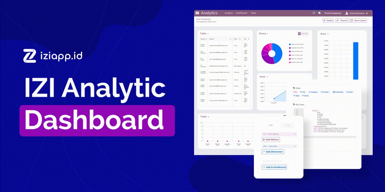 Analytic Data Query
