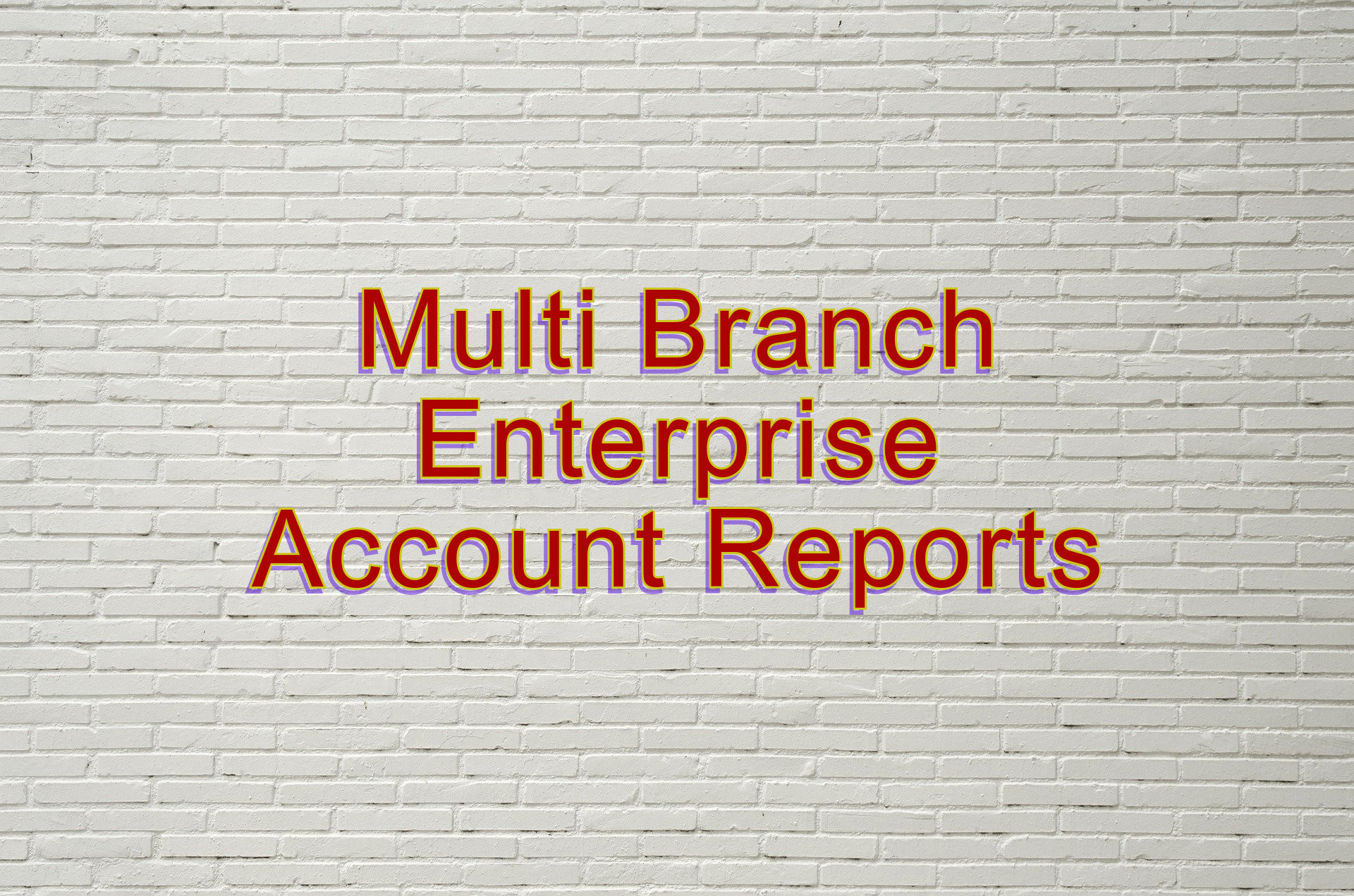 Multi Branch Enterprise Accounting Reporting