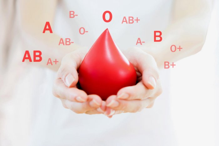 Hospital Blood Bank Management
