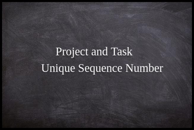 Project and Project Task Unique Sequence Number