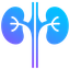 Nephrology Hospital Management System